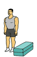 giphy-downsized (6).gif